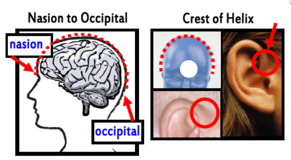 B-ALERT X10®--B-ALERT X24®